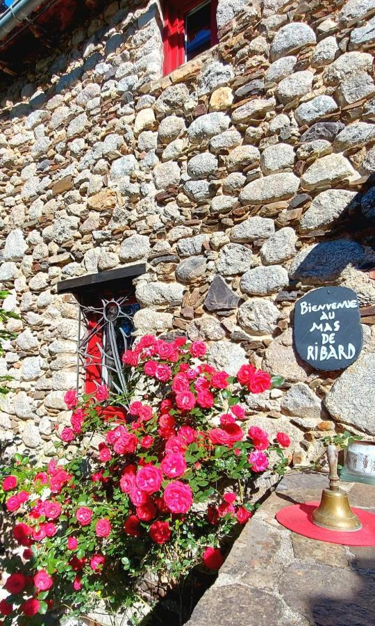 Le Mas De Ribard Bréau-et-Salagosse Kültér fotó